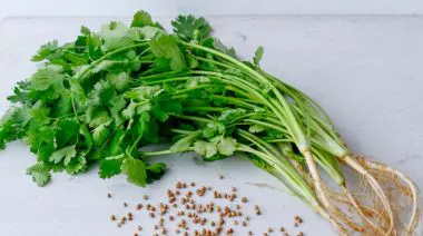 garnishing-instructions-image